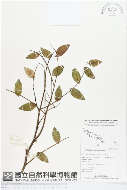 登錄號:BS03271藏品圖，第1張