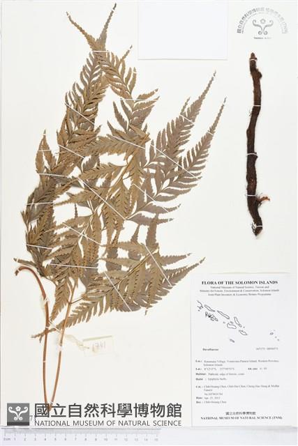 登錄號:BP00571藏品圖，第1張