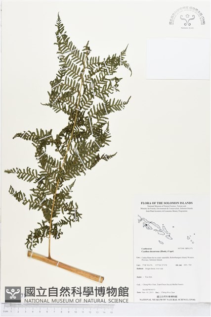登錄號:BP01571藏品圖，第1張