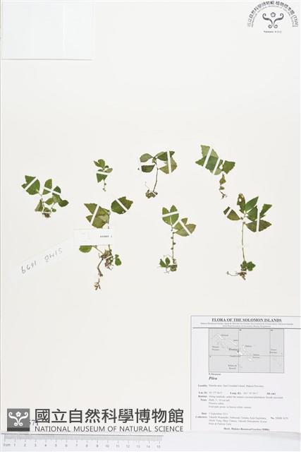 登錄號:BS01571藏品圖，第1張