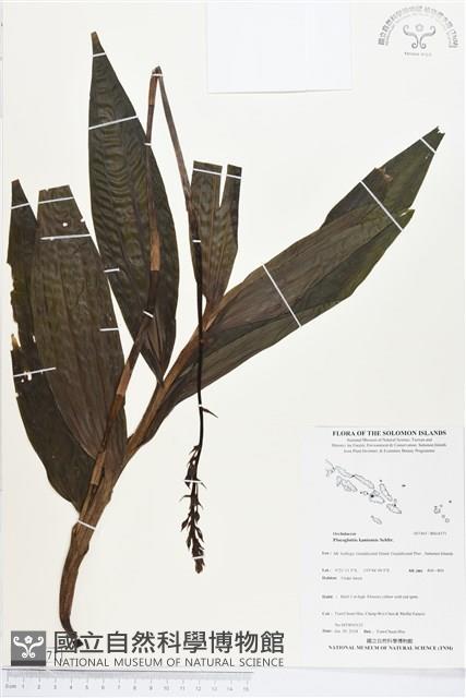 登錄號:BS04571藏品圖，第1張