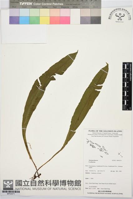 登錄號:BP03571藏品圖，第1張