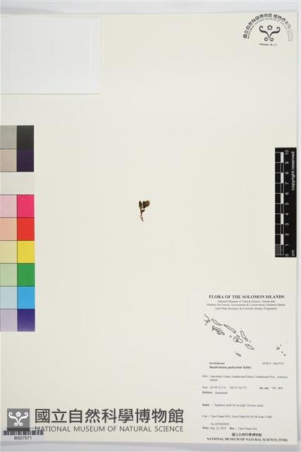 登錄號:BS07571藏品圖，第1張