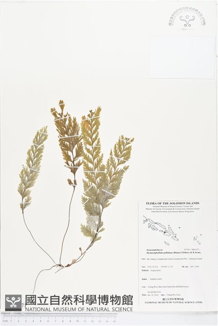登錄號:BP01971藏品圖，第1張