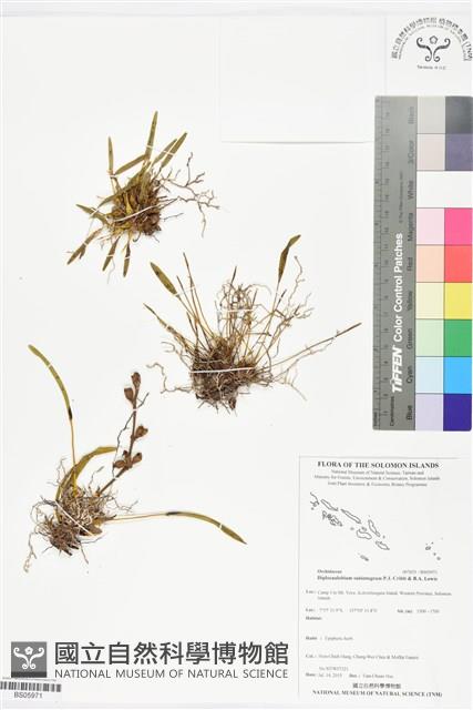 登錄號:BS05971藏品圖，第1張