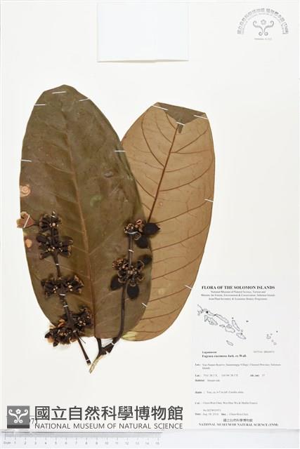 登錄號:BS04971藏品圖，第1張