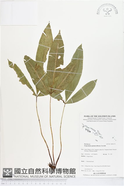 登錄號:BP01371藏品圖，第1張