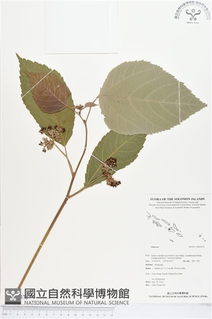 登錄號:BS01371藏品圖，第1張