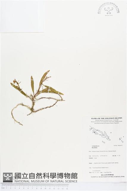 登錄號:BS04371藏品圖，第1張