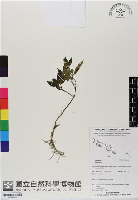 登錄號:BS06851藏品圖，第1張
