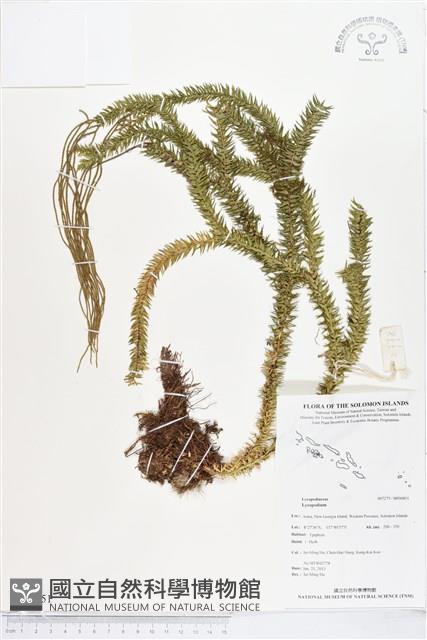 登錄號:BP00851藏品圖，第1張