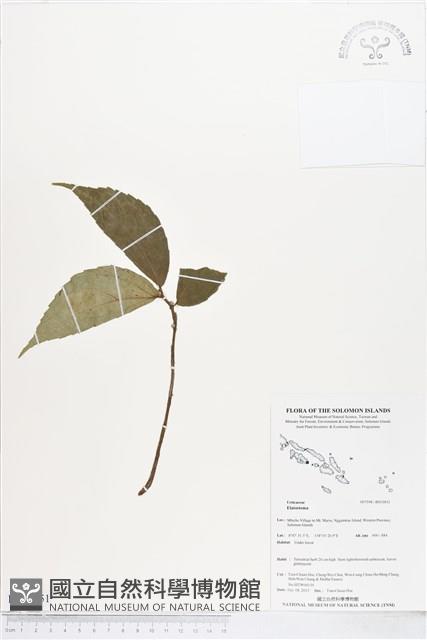 登錄號:BS03851藏品圖，第1張