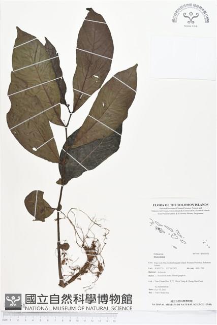 登錄號:BS02051藏品圖，第1張