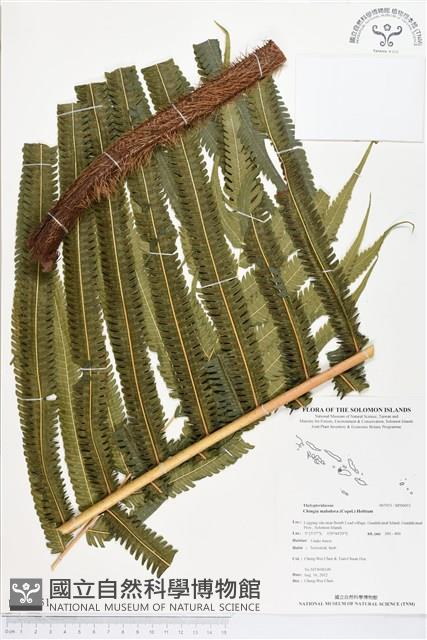 登錄號:BP00051藏品圖，第1張