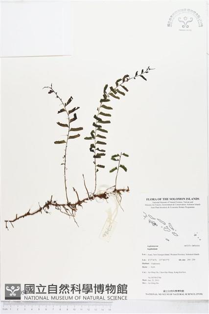 登錄號:BP01051藏品圖，第1張