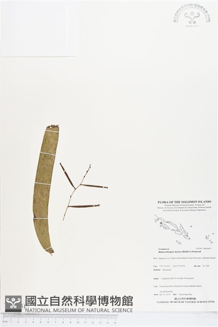 登錄號:BS04051藏品圖，第1張