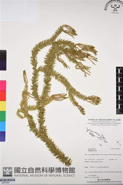 登錄號:BP03051藏品圖，第1張