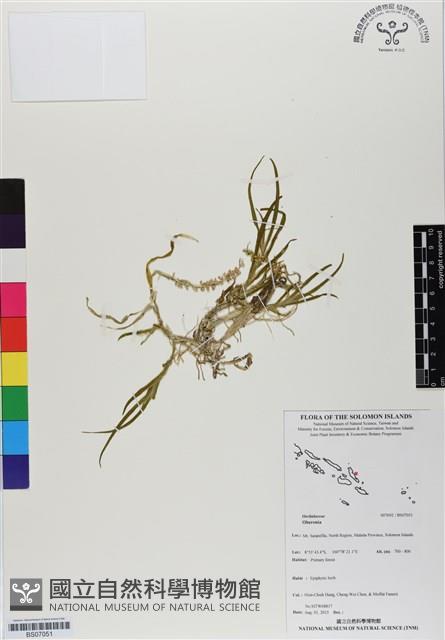 登錄號:BS07051藏品圖，第1張