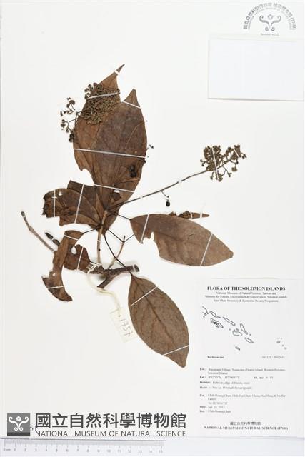 登錄號:BS02651藏品圖，第1張