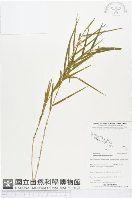 登錄號:BS03651藏品圖，第1張