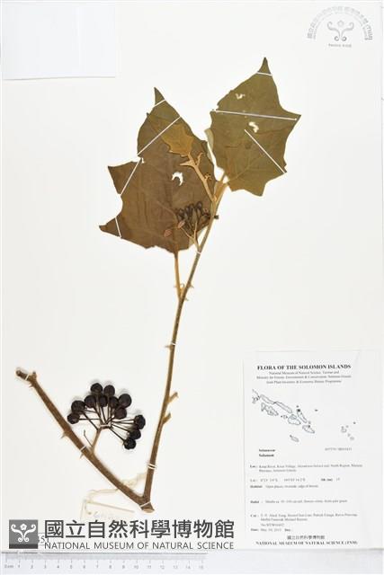 登錄號:BS05451藏品圖，第1張