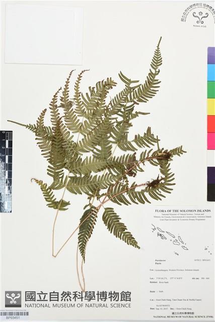 登錄號:BP03451藏品圖，第1張