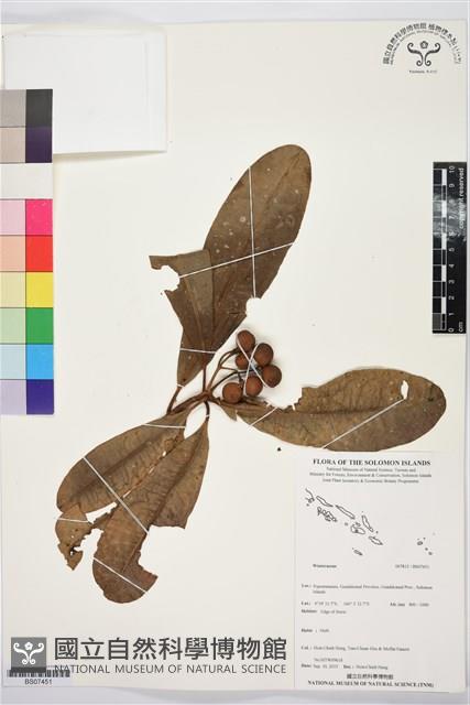 登錄號:BS07451藏品圖，第1張