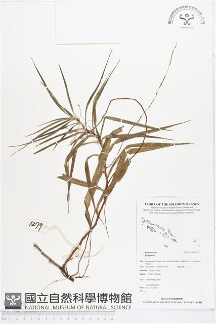 登錄號:BS02251藏品圖，第1張