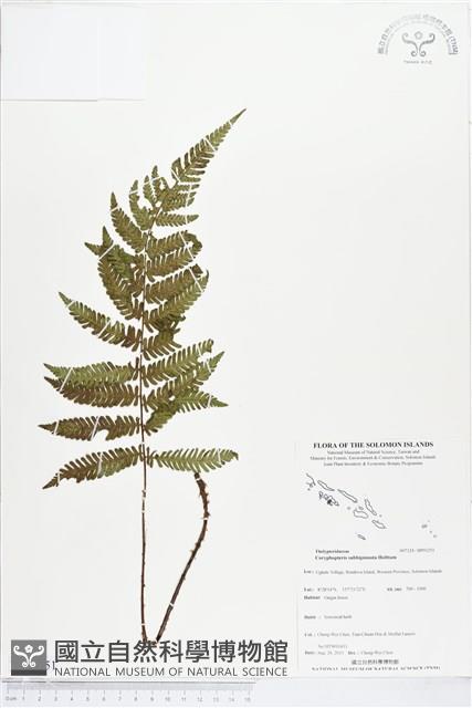 登錄號:BP01251藏品圖，第1張