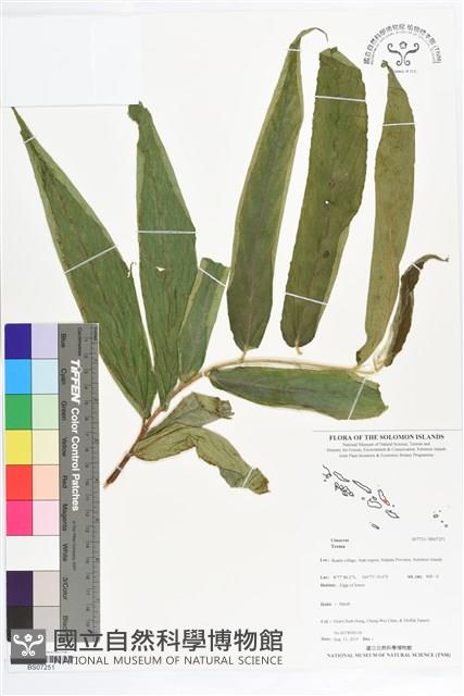 登錄號:BS07251藏品圖，第1張