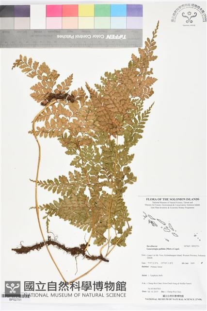 登錄號:BP02751藏品圖，第1張