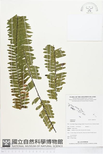 登錄號:BP00751藏品圖，第1張