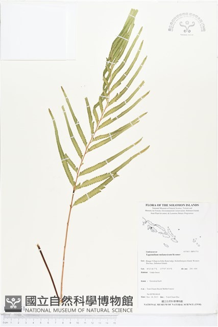登錄號:BP01751藏品圖，第1張