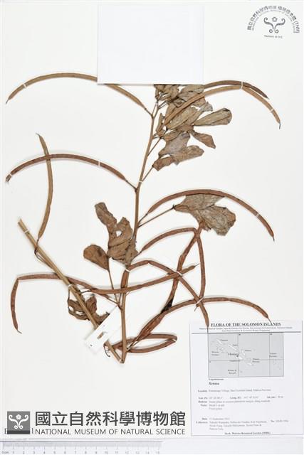 登錄號:BS01751藏品圖，第1張