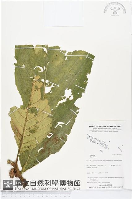 登錄號:BS04751藏品圖，第1張