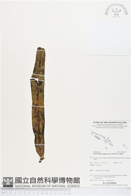 登錄號:BS03751藏品圖，第1張