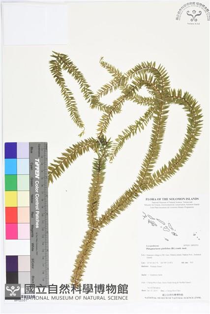 登錄號:BP02551藏品圖，第1張