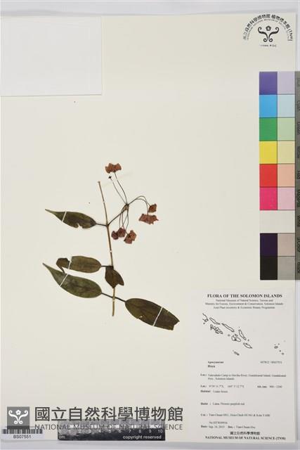 登錄號:BS07551藏品圖，第1張