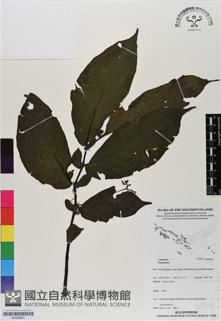 登錄號:BS06951藏品圖，第1張