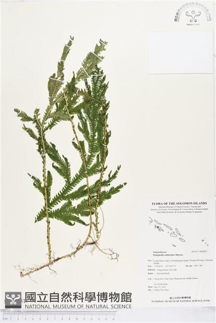 登錄號:BP00951藏品圖，第1張