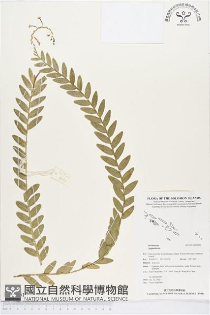 登錄號:BS01951藏品圖，第1張