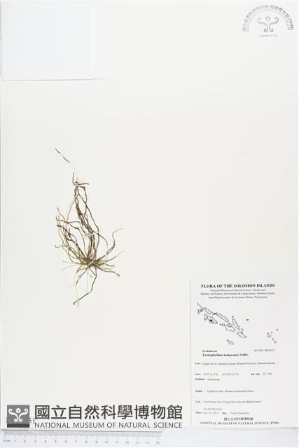 登錄號:BS03951藏品圖，第1張