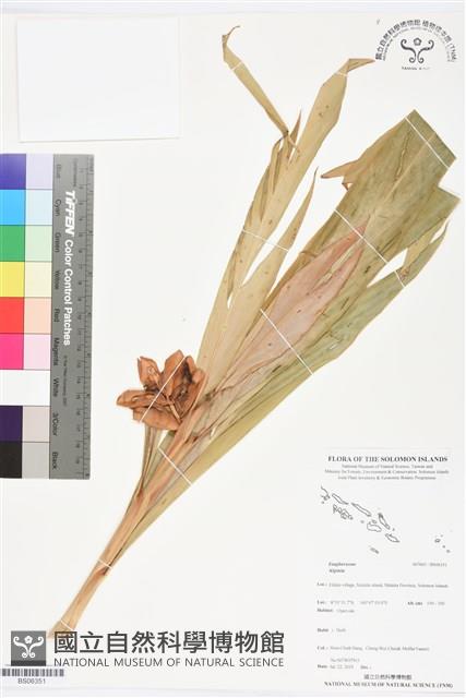 登錄號:BS06351藏品圖，第1張