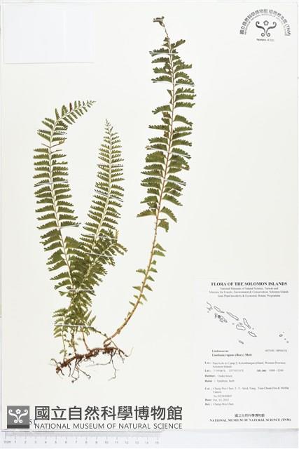 登錄號:BP00351藏品圖，第1張