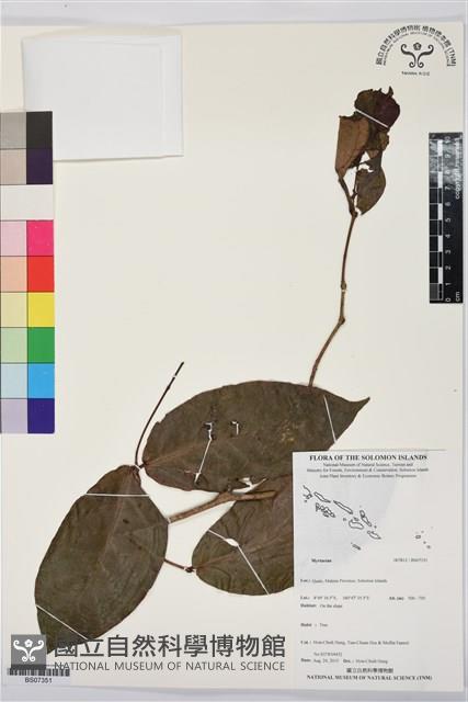 登錄號:BS07351藏品圖，第1張