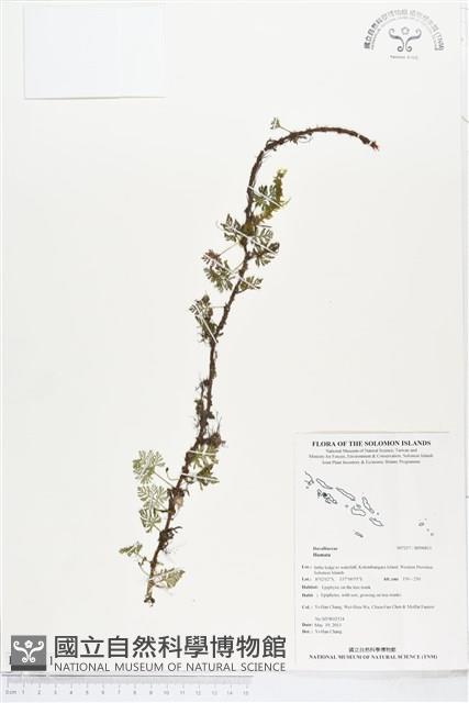 登錄號:BP00811藏品圖，第1張