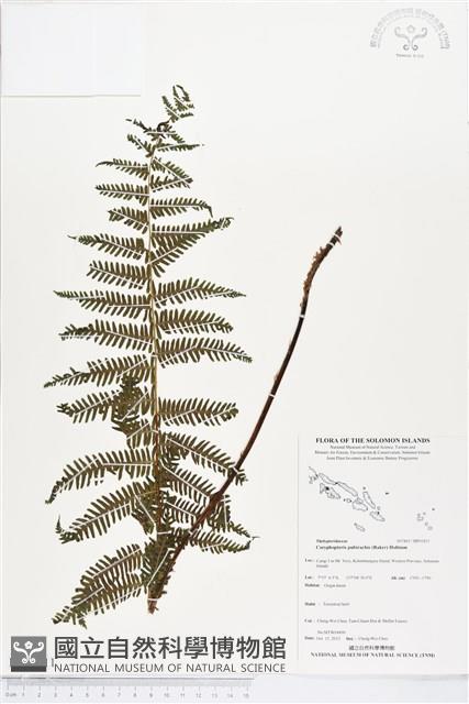 登錄號:BP01811藏品圖，第1張