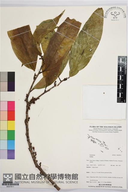 登錄號:BS07811藏品圖，第1張