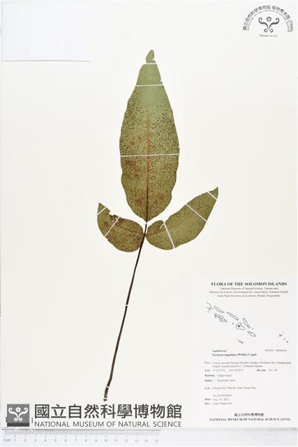 登錄號:BP00011藏品圖，第1張