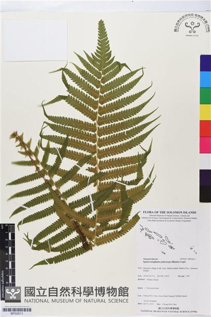 登錄號:BP02611藏品圖，第1張